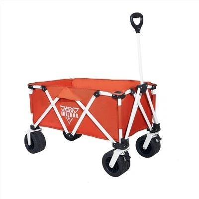 Opvouwbare wagen met luifel